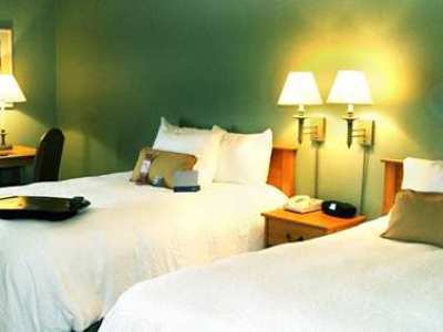 Hampton Nw Near The Domain Hotel 3*